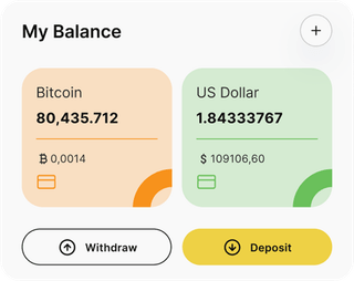 Zaffiro Capivex automated trading solution — dashboard overview